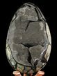Masive, Septarian Dragon Egg Geode - Black Crystals #64874-1